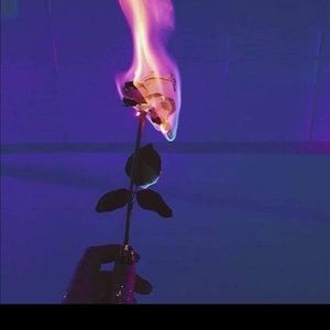 Meet your Posher, Ayiana